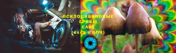 бошки Богородицк